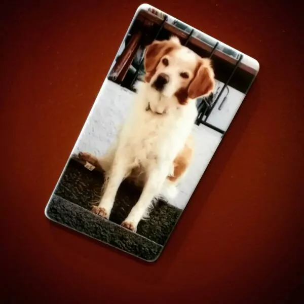 Calamite Personalizzate